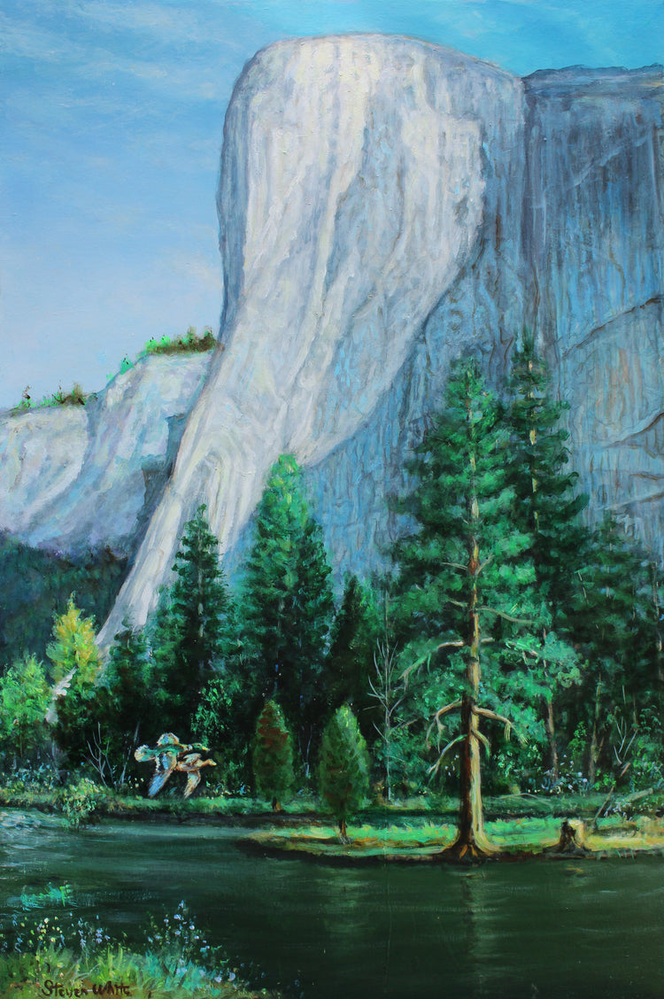 Landscapes